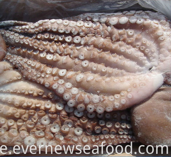 fryst bollformad bläckfisk